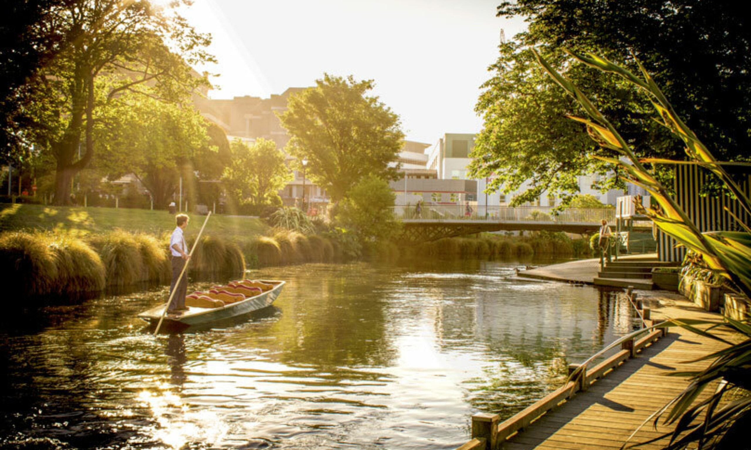 Christchurch Job Opportunity