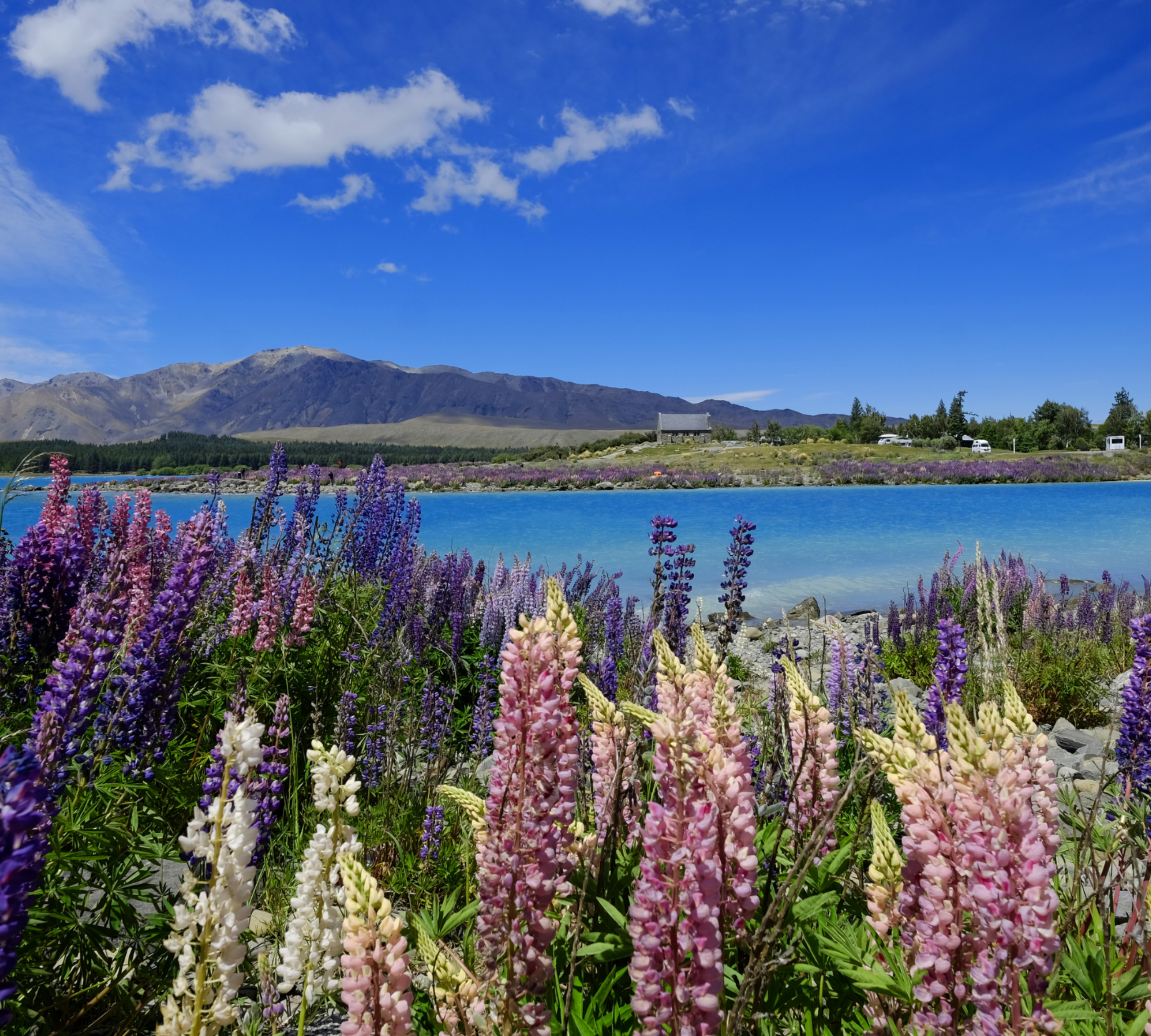 New Zealand Stock Image 5