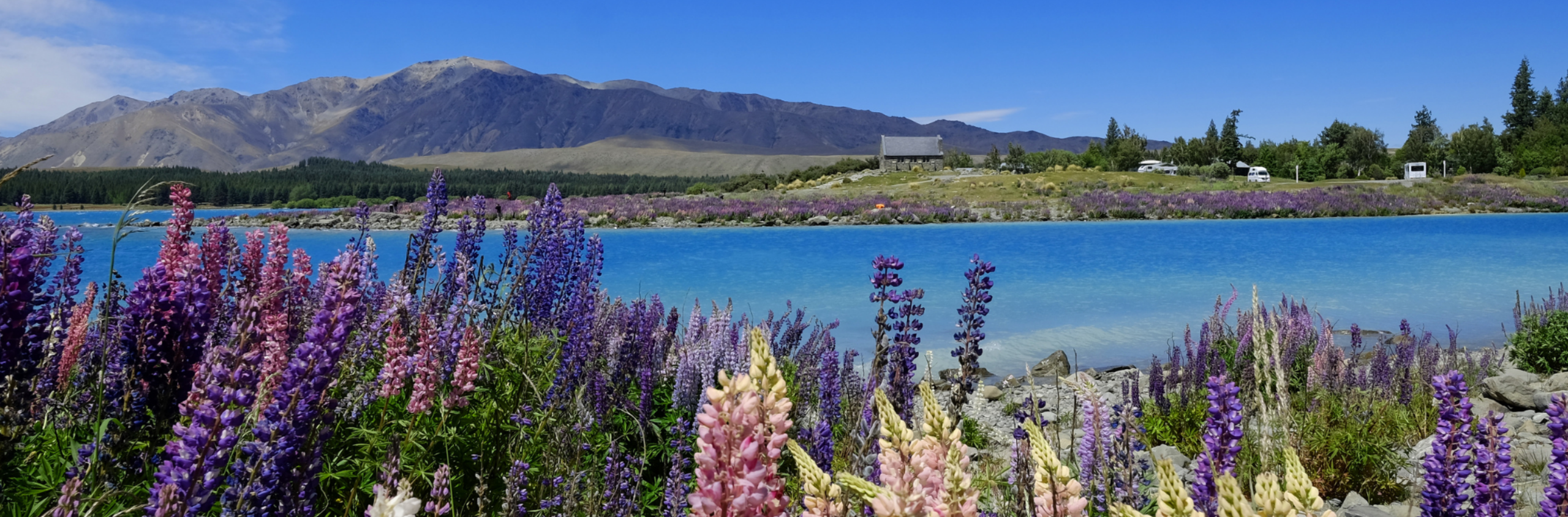 New Zealand Stock Image 5
